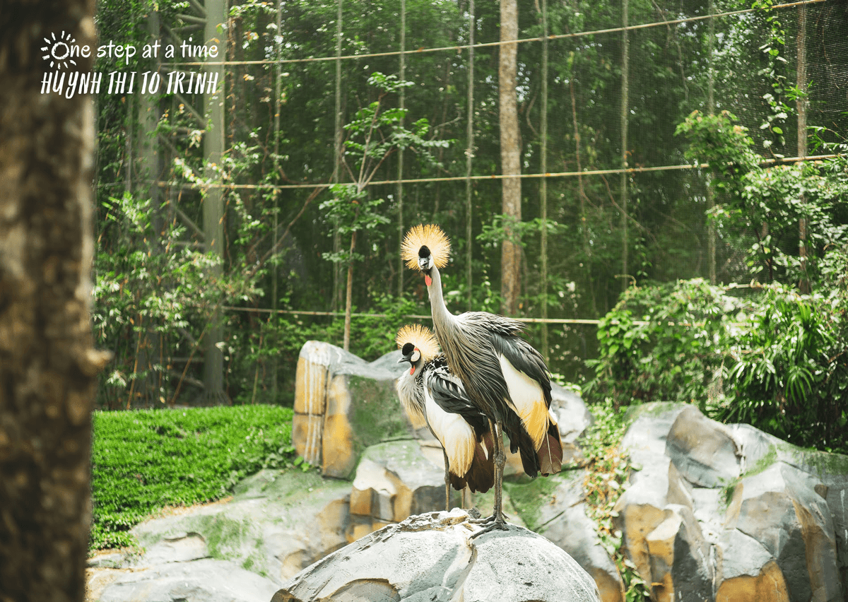 marriage-divorce-lessons-featured