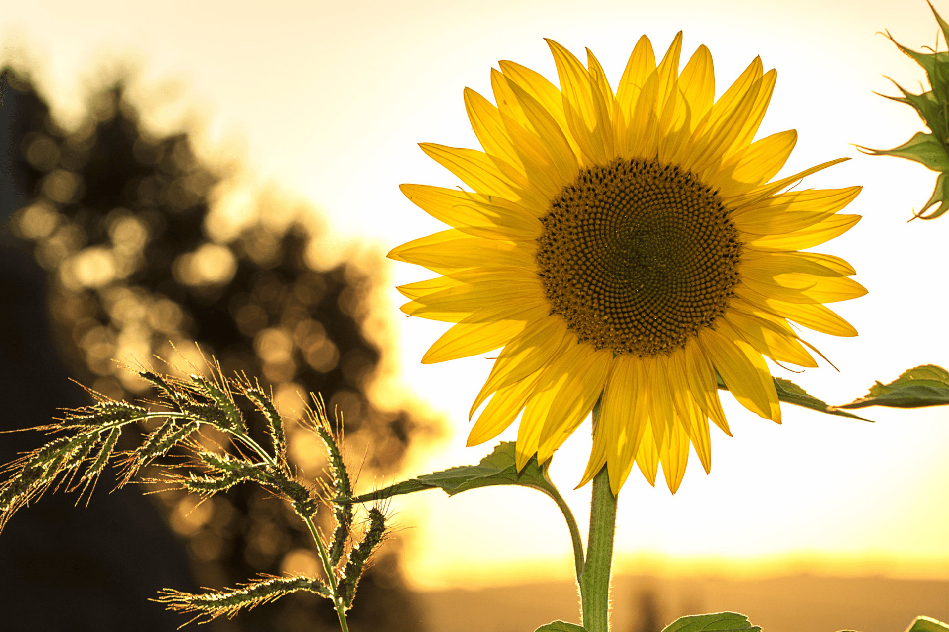 goal-setting-from-smart-to-smarter-featured