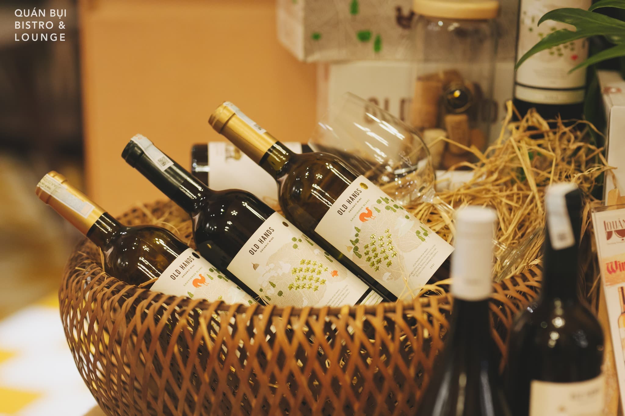 F&B Operation Consultancy Leo Huynh Trinh Quan Bui Bistro & Lounge